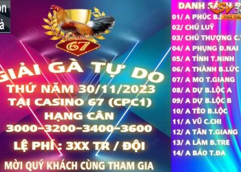 giai ga tu do casino 67 30-11