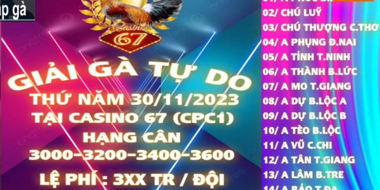 giai ga tu do casino 67 30-11