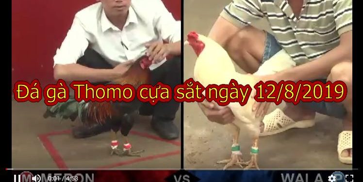 Đá gà Campuchia Casino 67 ngày 12/8/2019