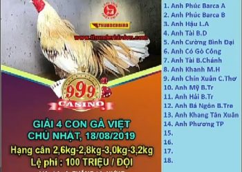 Đá gà Thomo “GIẢI 4 CON GÀ VIỆT” ngày 18/8/2019