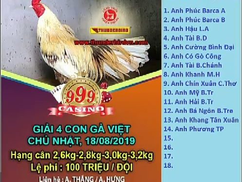 Đá gà Thomo “GIẢI 4 CON GÀ VIỆT” ngày 18/8/2019