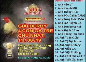 Video Đá Gà Trực Tiếp “Giải Derby 4 con gà tre” ngày 11/8/2019