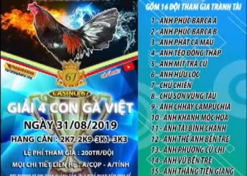 Đá gà trực tiếp 67 “Giải 4 CON GÀ VIỆT” ngày 31/8/2019