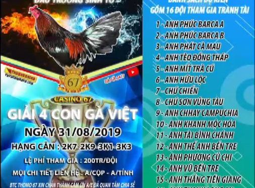 Đá gà trực tiếp 67 “Giải 4 CON GÀ VIỆT” ngày 31/8/2019