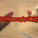Đá gà Thomo trực tiếp Hôm Nay ngày 28/9/2019