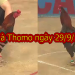 [Live] Đá gà trực tiếp tại casino Thomo ngày 29/9/2019