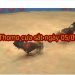 Đá gà trực tiếp hôm nay thứ 5 ngày 5/9/2019