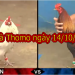 Xem Đá Gà Thomo (TRỰC TIẾP) thứ 2 ngày 14/10/2019