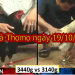 Coi Đá Gà Thomo Campuchia, thứ 7 ngày 19/10/2019