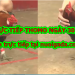 Đá gà Thomo trực tiếp hôm nay thứ 4 ngày 30/10/2019
