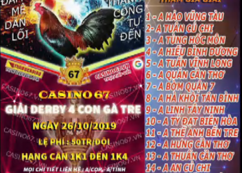 TRỰC TIẾP Đá Gà Thomo “Giải 4 con gà tre” thứ 7, 26/10/2019