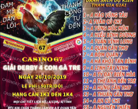 TRỰC TIẾP Đá Gà Thomo “Giải 4 con gà tre” thứ 7, 26/10/2019