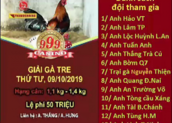 Xem Trực Tiếp Đá Gà “GIẢI 4 CON GÀ TRE” ngày 9/10/2019