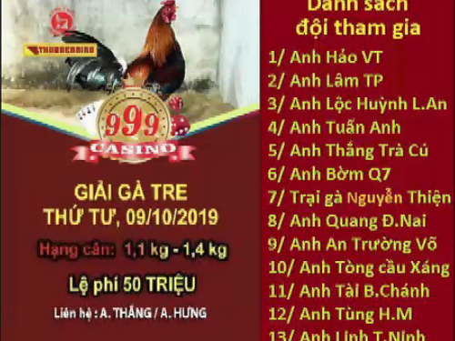 Xem Trực Tiếp Đá Gà “GIẢI 4 CON GÀ TRE” ngày 9/10/2019