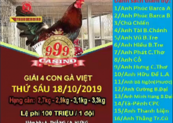 [LIVE] Đá Gà Trực Tiếp “Giải 4 con gà Việt” ngày 18/10/2019