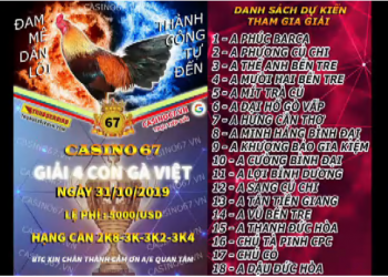 Đá gà trực tiếp Thomo “GIẢI 4 CON GÀ VIỆT” ngày 31/10/2019