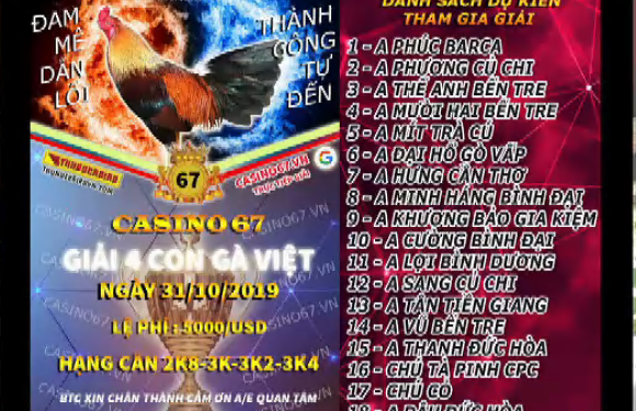 Đá gà trực tiếp Thomo “GIẢI 4 CON GÀ VIỆT” ngày 31/10/2019