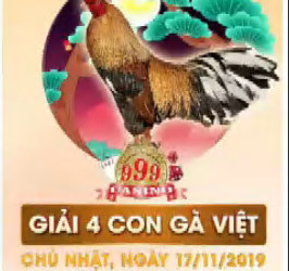 Trực tiếp đá gà “Giải 4 con gà Việt” ngày 17/11/2019