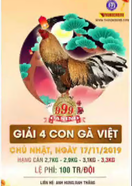 Trực tiếp đá gà “Giải 4 con gà Việt” ngày 17/11/2019