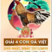 Trực tiếp đá gà “Giải 4 con gà Việt” ngày 17/11/2019