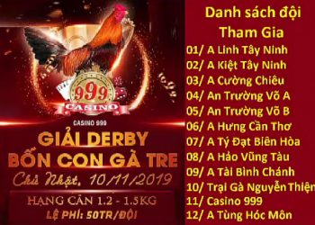 Xem đá gà trực tiếp “GIẢI DERBY 4 CON GÀ TRE” ngày 10/11/2019