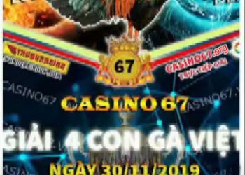 Đá gà trực tiếp 67 “Giải 4 con gà Việt” ngày 30/11/2019