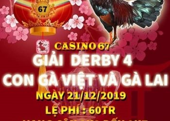 Trực tiếp Đá Gà “Giải 4 con gà Việt và gà Lai” ngày 21/12/2019