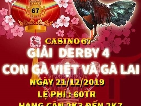 Trực tiếp Đá Gà “Giải 4 con gà Việt và gà Lai” ngày 21/12/2019