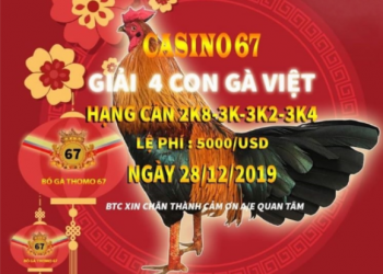 Đá gà trực tiếp 67 “Giải 4 con gà Việt” ngày 28/12/2019