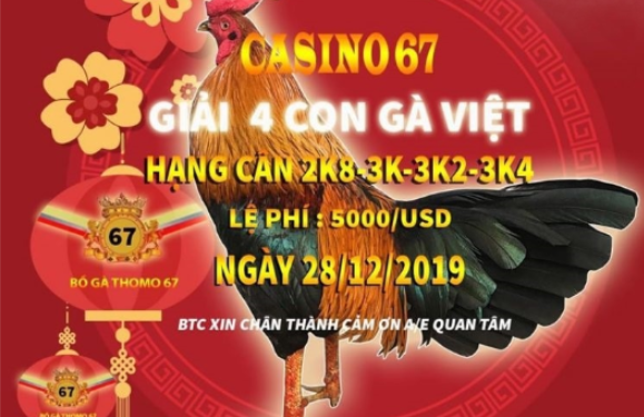 Đá gà trực tiếp 67 “Giải 4 con gà Việt” ngày 28/12/2019
