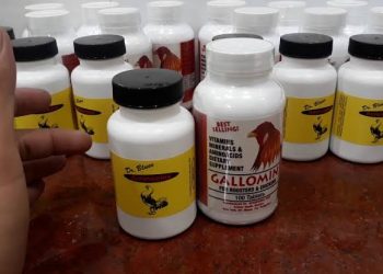 5 sai lầm dùng thuốc gà đá (thuốc chích gà, thuốc nhỏ cho gà)