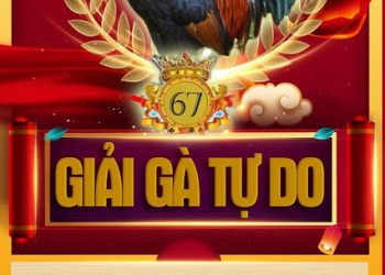 Đá gà Trực tiếp Thomo ngày 14/01/2020