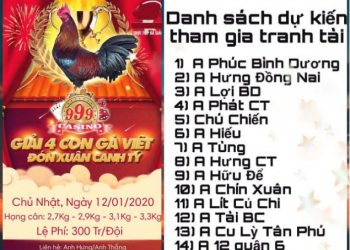 Trực tiếp đá gà: “Giải 4 con gà Việt đón Xuân Canh Tý” ngày 12/1/2020