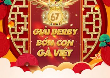 Trực tiếp đá gà Thomo 999 “Giải 4 con gà Việt” ngày 22/2/2020
