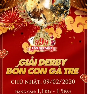 Đá gà LIVE: “Giải DERBY 4 CON GÀ TRE” ngày 9/2/2020