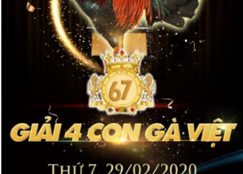 [Đá gà Live] Giải 4 con gà Việt ngày 29/2/2020 tại casino 67