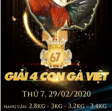 [Đá gà Live] Giải 4 con gà Việt ngày 29/2/2020 tại casino 67