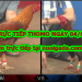 Đá gà trực tiếp Thomo ngày 3/3/2020