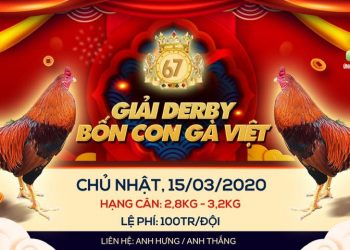 Đá gà Live “GIẢI 4 CON GÀ VIỆT” ngày 15/3/2020