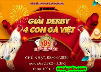 Trực tiếp Thomo Giải 4 CON GÀ VIỆT ngày 8/3/2020