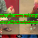 Tuyển chọn video đá gà trực tiếp bình luận ngày 28/4/2020