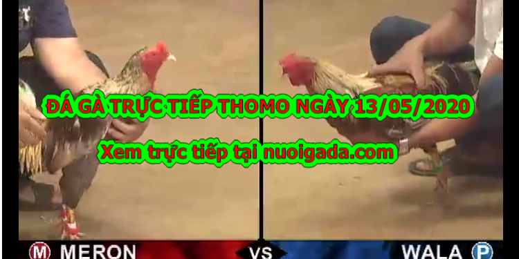 Đá gà casino Tuyển Chọn ngày 6/5/2020