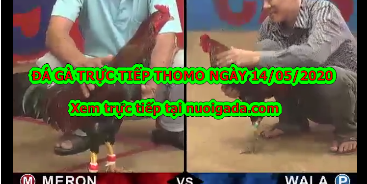 Đá gà casino Tuyển Chọn ngày 6/5/2020