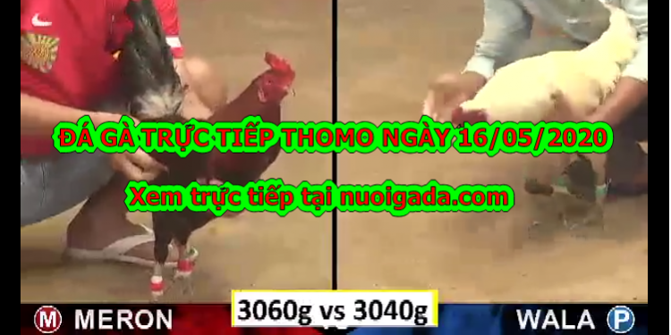 Đá gà casino Tuyển Chọn ngày 6/5/2020