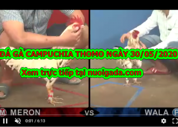 Xem đá gà cựa sắt Campuchia ngày 30/5/2020