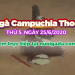 đá gà trực tiếp