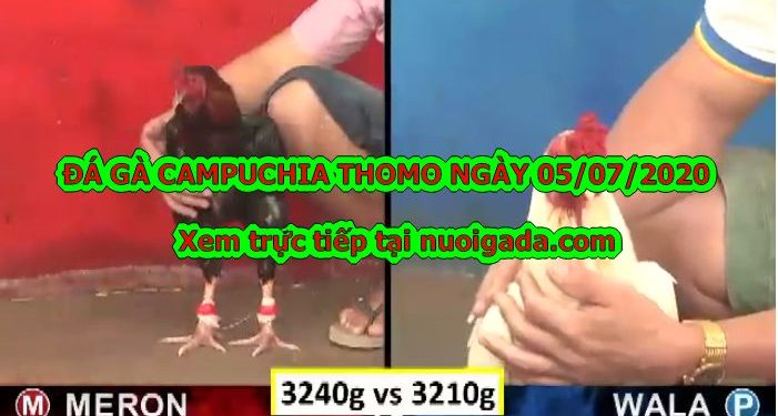 xem đá gà Live