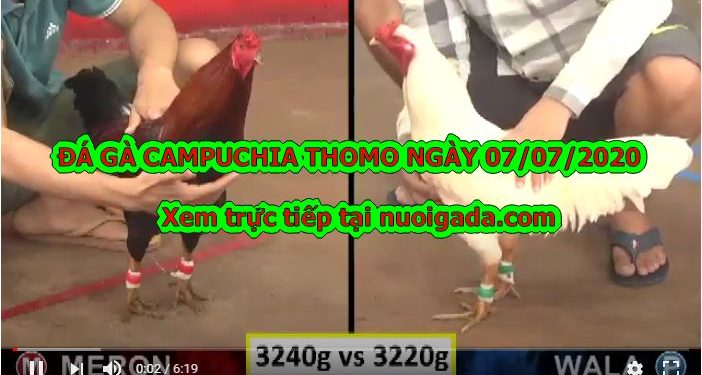 đá gà trực tuyến