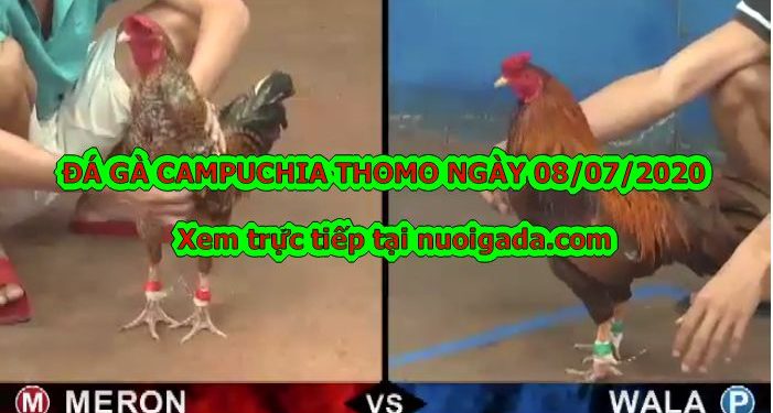 trực tiếp đá gà Hôm Nay