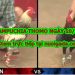 Đá gà trực tiếp